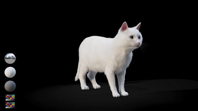 Video Reference: Cat, Carnivore, Felidae, Small to medium-sized cats, Whiskers, Fawn, Snout, Tail, Terrestrial animal, Fur