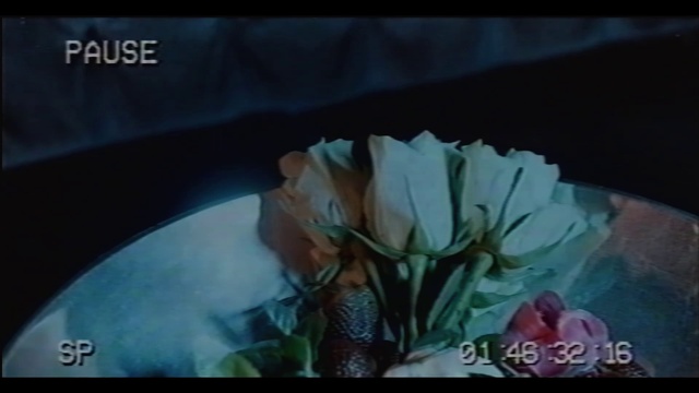Video Reference: Flower, Plant, Petal, Art, Font, Rectangle, Rose, Flower Arranging, Flowering plant, Cut flowers