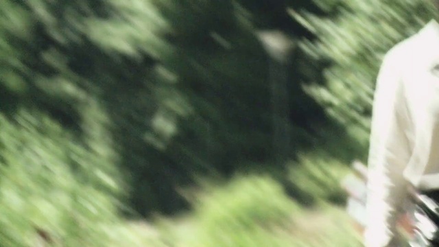 Video Reference: Plant, Wood, Trunk, Grass, Tints and shades, Forest, Landscape, Natural landscape, Tree, Woodland