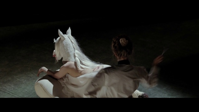 Video Reference: Horse, Flash photography, Dress, Entertainment, Performing arts, Wedding dress, Event, Art, Darkness, Gown