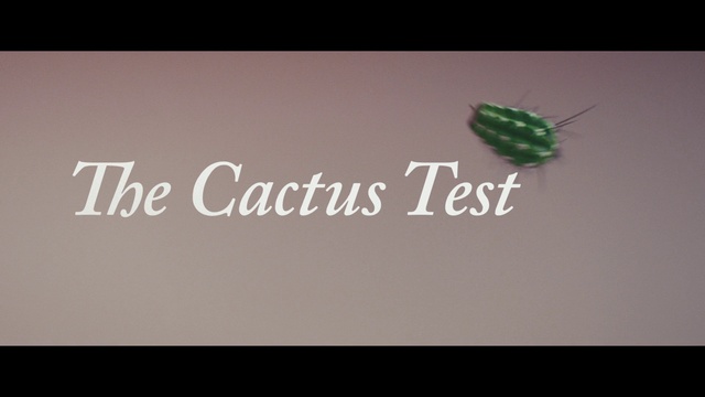 Video Reference: Insect, Arthropod, Font, Art, Adaptation, Beetle, Pest, Parasite, Graphics, Event