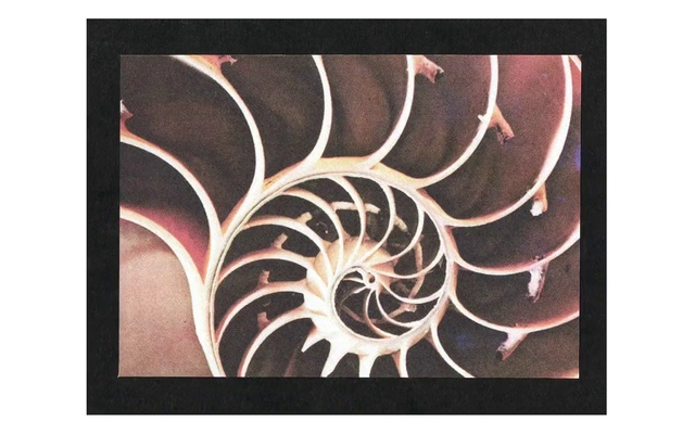 Video Reference: Rectangle, Organism, Art, Font, Tints and shades, Pattern, Circle, Symmetry, Wood, Metal