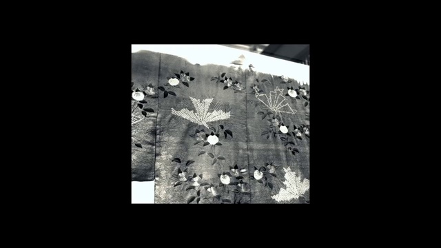 Video Reference: Plant, Flower, Petal, Twig, Black-and-white, Art, Font, Flash photography, Tints and shades, Grass