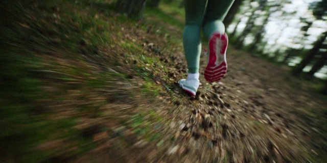 Video Reference: Footwear, Shoe, Plant, Leg, People in nature, Shorts, Grass, Terrestrial plant, Asphalt, Human leg