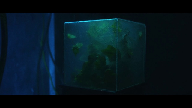 Video Reference: World, Organism, Water, Electric blue, Glass, Art, Rectangle, Transparent material, Darkness, Fashion accessory