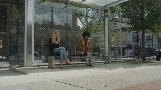 Video Reference: Architecture, Tree, Road surface, Plant, Leisure, Sidewalk, Shade, Urban design, City, Art