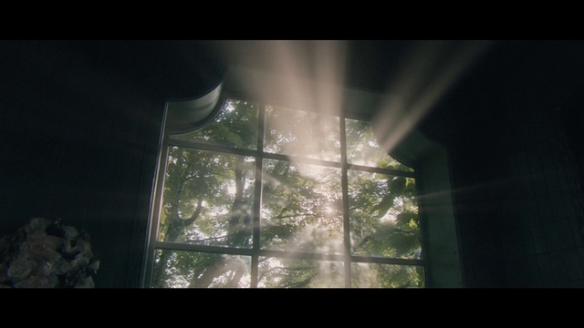 Video Reference: Shade, Tints and shades, Glass, Tree, Lens flare, Fixture, Transparent material, Window treatment, Darkness, Wood