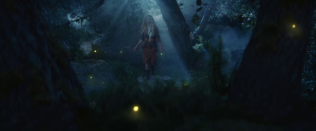 Video Reference: Plant, Tree, Underwater, Cg artwork, Forest, Midnight, Water, Darkness, Recreation, Jungle