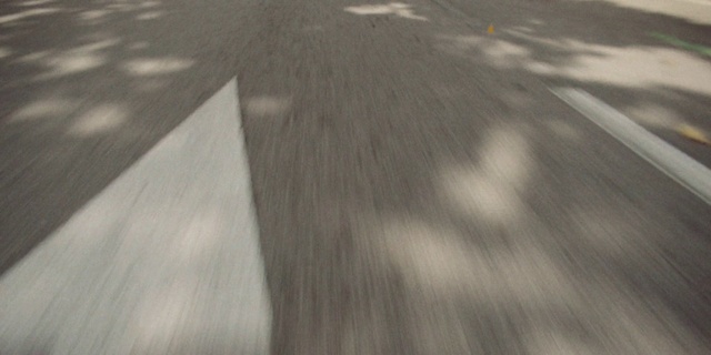 Video Reference: Wood, Grey, Road surface, Asphalt, Tints and shades, Grass, Flooring, Tree, Landscape, Sidewalk