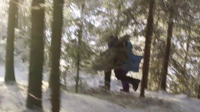 Video Reference: Plant, Wood, Trunk, Tree, People in nature, Twig, Natural landscape, Tints and shades, Snow, Landscape