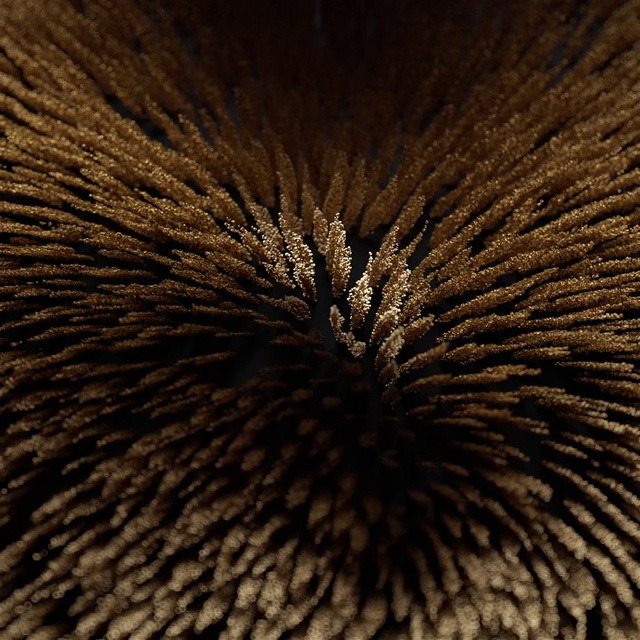 Video Reference: Brown, Plant, Wood, Trunk, Tints and shades, Symmetry, Tree, Landscape, Pattern, Macro photography