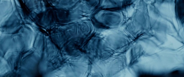 Video Reference: Liquid, Water, Fluid, Electric blue, Pattern, Cloud, Close-up, Wind wave, Transparent material, Fur