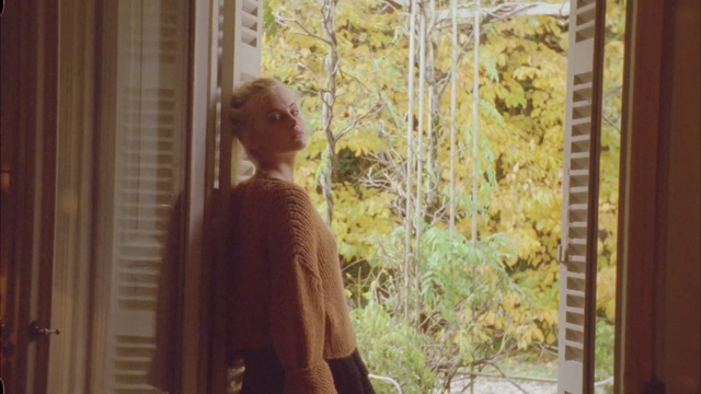 Video Reference: Window, Wood, Textile, Plant, Sunlight, Wall, Tints and shades, Glass, Art, Grass