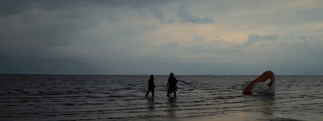 Video Reference: Water, Cloud, Sky, People on beach, Coastal and oceanic landforms, Horizon, Beach, Tree, Wind wave, Wind