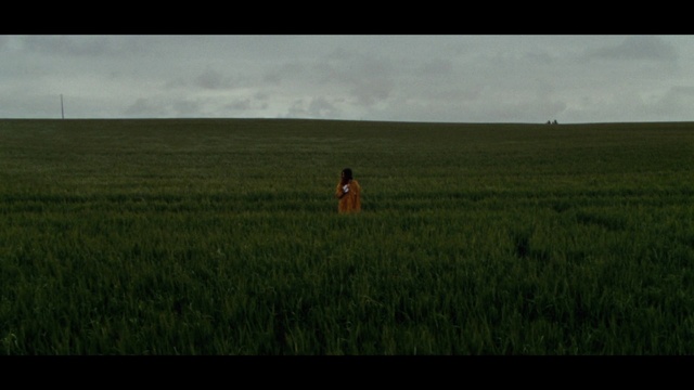 Video Reference: Sky, Plant, Cloud, People in nature, Natural landscape, Agriculture, Landscape, Horizon, Grass, Grassland