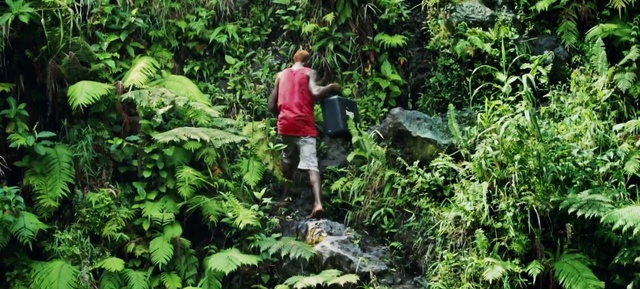 Video Reference: Plant, Shorts, Plant community, Terrestrial plant, Organism, Grass, Natural landscape, Adaptation, Groundcover, Shrub
