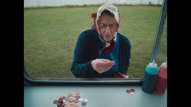 Video Reference: Leisure, Tree, Grass, Recreation, Electric blue, Fun, Glass, Eyewear, Automotive window part, Room