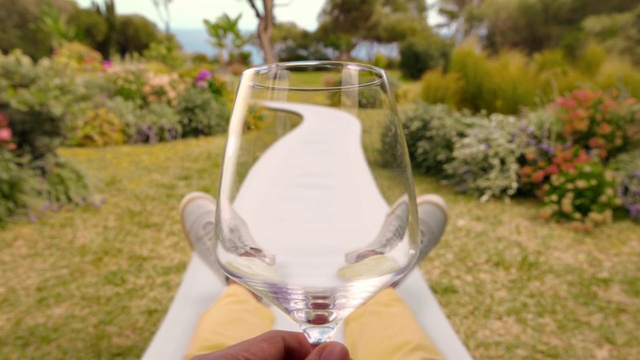 Video Reference: Glasses, Tableware, Plant, Drinkware, Stemware, Leaf, Barware, Tree, Wine glass, Sunlight