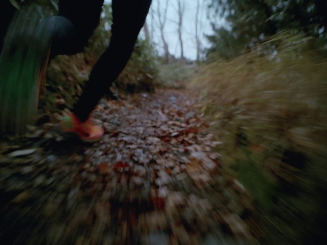 Video Reference: Plant, Natural environment, Tree, Wood, People in nature, Terrestrial plant, Natural landscape, Trunk, Fawn, Grass