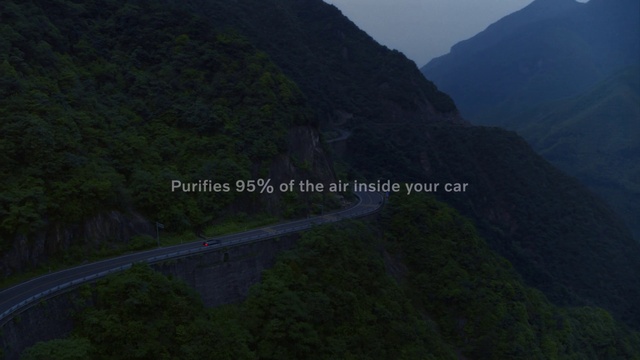 Video Reference: Mountain, Plant community, Slope, Highland, Wood, Natural landscape, Tree, Landscape, Sky, Geological phenomenon