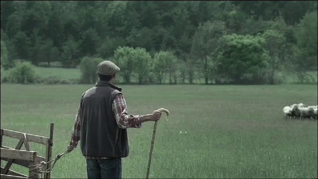 Video Reference: Plant, Vertebrate, Tree, Grass, Tripod, Grassland, Landscape, Meadow, Recreation, Lawn