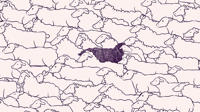 Video Reference: Ecoregion, Vertebrate, Mammal, Organism, Twig, World, Plant, Pattern, Rectangle, Event