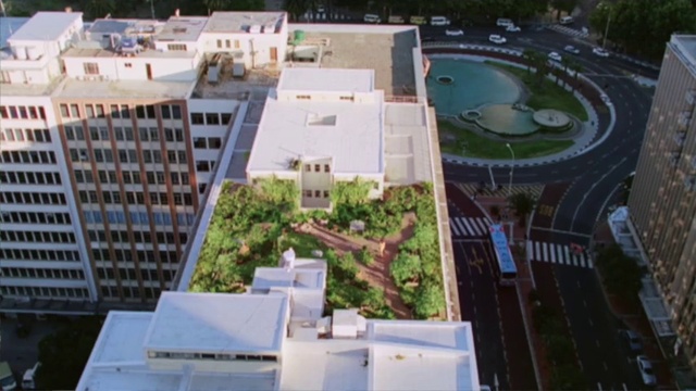 Video Reference: Daytime, Property, Building, Plant, Urban design, Condominium, Neighbourhood, Residential area, Tower block, Roof