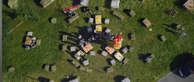 Video Reference: Land lot, Urban design, Biome, Grassland, Grass, Landscape, Plain, Recreation, Groundcover, Plant