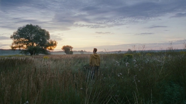 Video Reference: Cloud, Sky, Plant, Natural landscape, Afterglow, Tree, Grass, Dusk, Sunset, Horizon