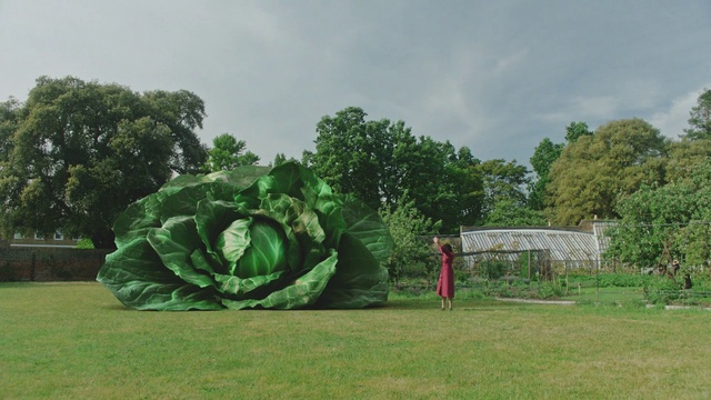 Video Reference: Plant, Sky, Cloud, Tree, Sculpture, Flower, Grass, Art, Grassland, Landscape
