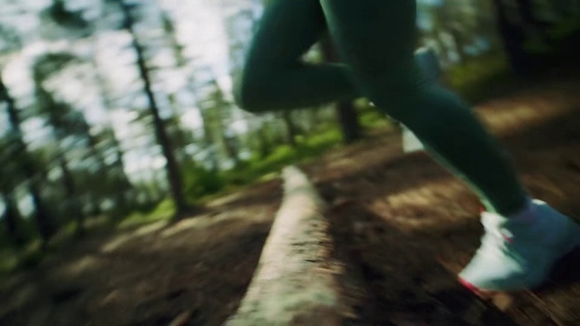 Video Reference: Plant, People in nature, Leaf, Branch, Wood, Flash photography, Gesture, Sunlight, Grass, Thigh