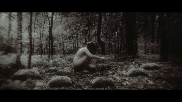 Video Reference: Plant, People in nature, Flash photography, Tree, Wood, Grass, Tints and shades, Landscape, Natural landscape, Human leg