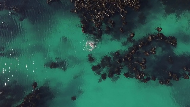 Video Reference: Water, Water resources, Atmosphere, World, Azure, Organism, Atmospheric phenomenon, Aqua, Space, Pattern