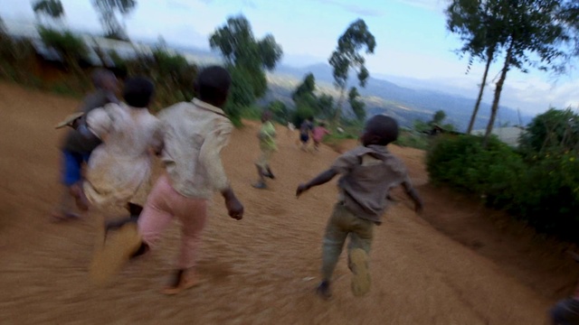 Video Reference: Shorts, Sky, Plant, Ecoregion, Vertebrate, Tree, Cloud, Mammal, Grass, Leisure