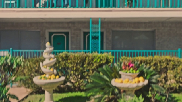 Video Reference: Plant, Property, Building, Window, Flower, Botany, Lighting, Architecture, Yellow, Wall