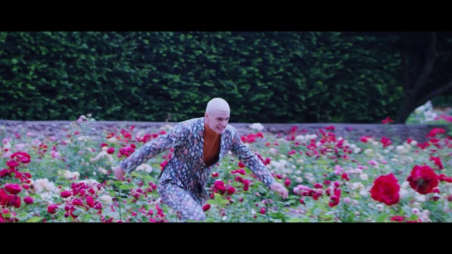 Video Reference: Flower, Plant, People in nature, Petal, Pink, Grass, Happy, Shrub, Groundcover, Magenta