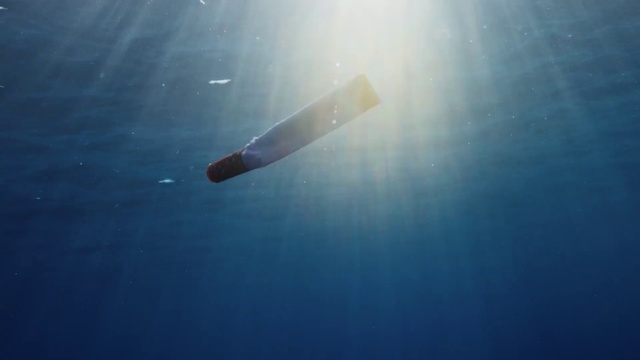 Video Reference: Water, Atmosphere, Azure, Underwater, Liquid, Lens flare, Electric blue, Fin, Fish, Marine biology