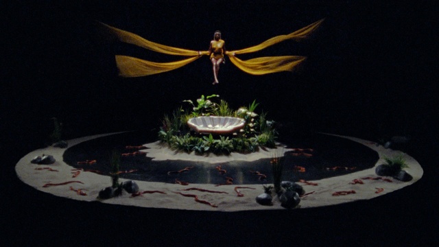 Video Reference: World, Mythical creature, Art, Plant, Event, Space, Symmetry, Fictional character, Wing, Illustration