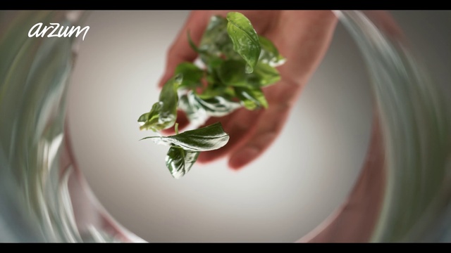 Video Reference: Food, Dishware, Plant, Ingredient, Recipe, Natural foods, Leaf vegetable, Tableware, Serveware, Cuisine