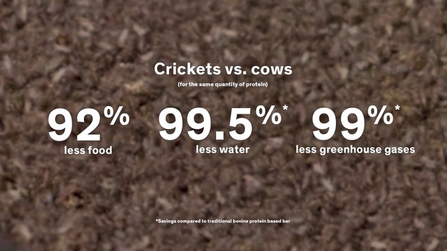 Video Reference: Plant, Organism, Terrestrial plant, Wood, Font, Natural material, Natural landscape, Grass, Landscape, Geology