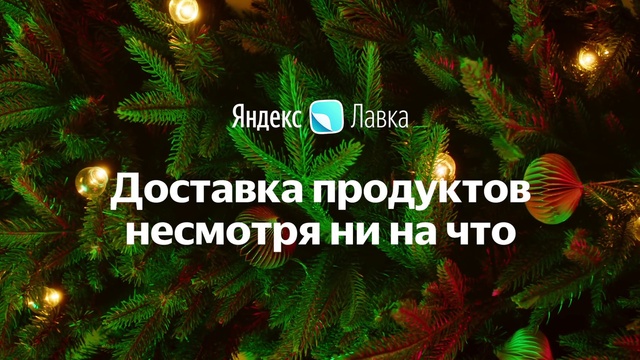 Video Reference: Plant, Light, Natural environment, Branch, Terrestrial plant, Organism, Vegetation, Font, World, Biome