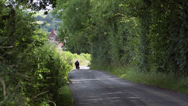 Video Reference: Plant, Branch, Tree, Road surface, Natural landscape, Asphalt, Land lot, Thoroughfare, Shrub, Grass