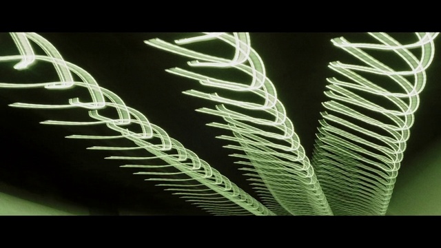 Video Reference: Plant, Terrestrial plant, Organism, Art, Twig, Painting, Font, Feather, Grass, Pattern