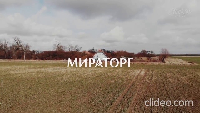 Video Reference: Cloud, Sky, Plant, Natural landscape, Tree, Land lot, Grass, Grassland, Agriculture, Landscape