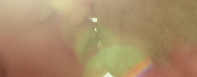 Video Reference: Plant, Petal, Atmospheric phenomenon, Tints and shades, Terrestrial plant, Tree, Macro photography, Lens flare, Flowering plant, Plant stem