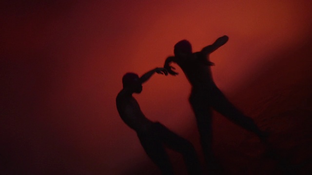 Video Reference: People in nature, Sky, Gesture, Entertainment, Happy, Performing arts, Dance, Choreography, Tree, Flash photography
