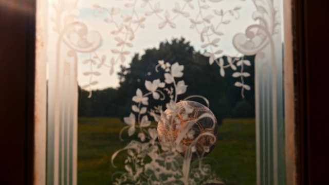 Video Reference: Brown, Textile, Wood, Plant, Window, Fawn, Art, Rectangle, Tints and shades, Grass