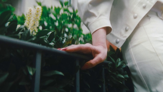 Video Reference: Hand, Plant, Sleeve, Gesture, Grass, People in nature, Finger, Wrist, Nail, Leaf vegetable