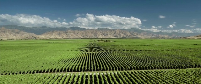 Video Reference: Cloud, Sky, Plant, Mountain, Natural landscape, Land lot, Agriculture, Grass, Grassland, Plain
