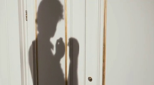 Video Reference: Wood, Fixture, Window, Door, Hardwood, Wood stain, Tints and shades, Home door, Metal, Room